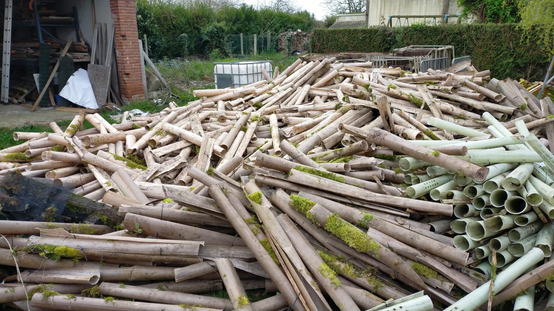 Nettoyage de la forêt